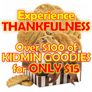 Only $15 for $107+ Kidmin Lessons
